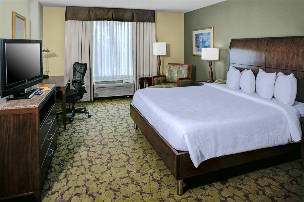 Hilton Garden Inn Atlanta North/Alpharetta Quarto foto